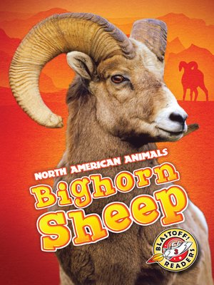 cover image of Bighorn Sheep